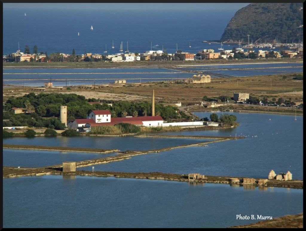 Caffè Connesso saline Molentargius